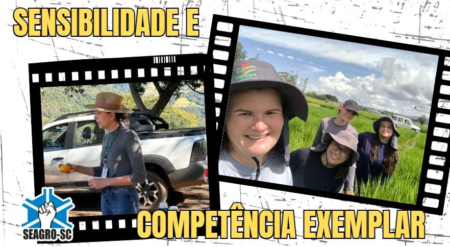 Dia Internacional da Mulher