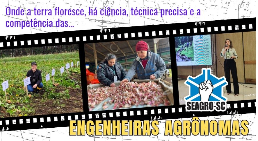 Dia Internacional da Mulher