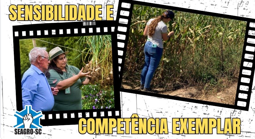 Dia Internacional da Mulher