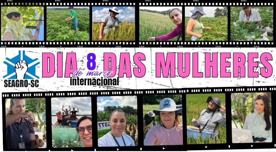 8 de março - Dia Internacional da Mulheres - Homenagem do SEAGRO-SC